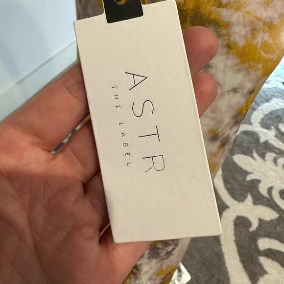 NWT- Astr Silk Skirt- size small - Picture 3 of 4